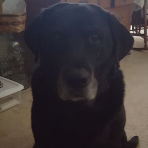 Meet your Posher, Stephenie